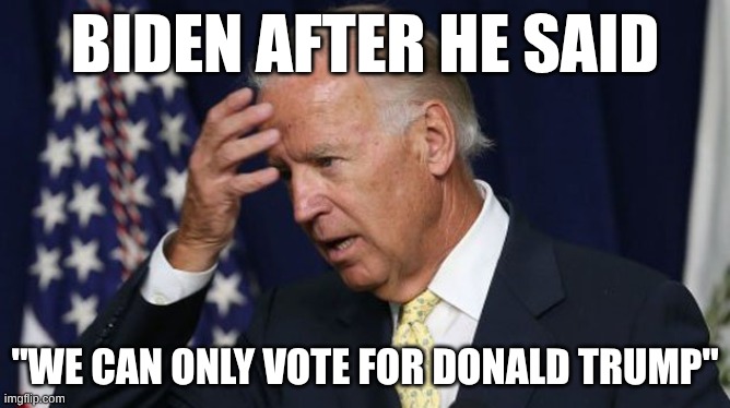 He actually said it | BIDEN AFTER HE SAID; "WE CAN ONLY VOTE FOR DONALD TRUMP" | image tagged in joe biden worries | made w/ Imgflip meme maker