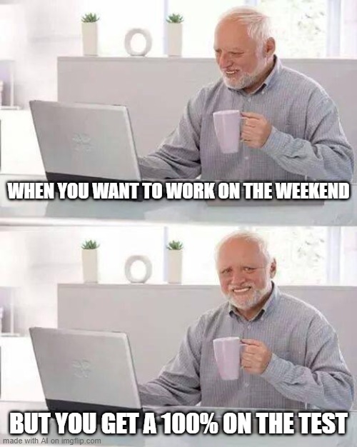 No Work For Me | WHEN YOU WANT TO WORK ON THE WEEKEND; BUT YOU GET A 100% ON THE TEST | image tagged in memes,hide the pain harold | made w/ Imgflip meme maker