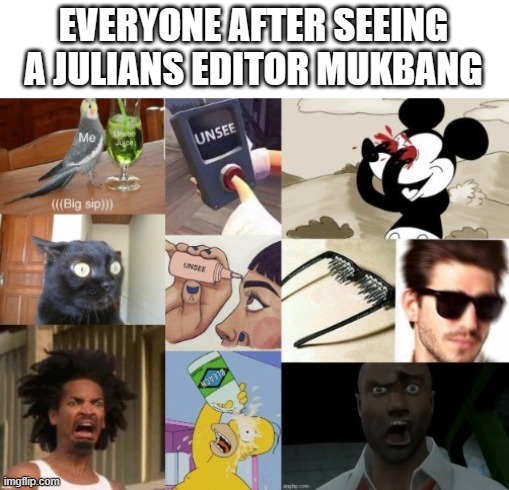Why | EVERYONE AFTER SEEING
A JULIANS EDITOR MUKBANG | image tagged in pass the unsee juice my bro,my eyes,dies from cringe | made w/ Imgflip meme maker