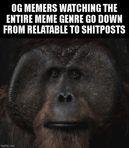YUP AINT FUNNY | OG MEMERS WATCHING THE ENTIRE MEME GENRE GO DOWN FROM RELATABLE TO SHITPOSTS | image tagged in maurice stare,memes,gifs | made w/ Imgflip meme maker