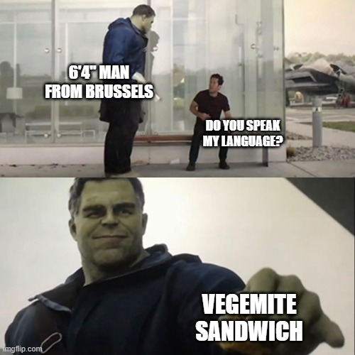 Do You Come from a Land Down Under? | 6'4" MAN FROM BRUSSELS; DO YOU SPEAK MY LANGUAGE? VEGEMITE SANDWICH | image tagged in hulk taco | made w/ Imgflip meme maker