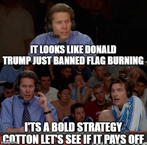 IT LOOKS LIKE DONALD TRUMP JUST BANNED FLAG BURNING; I'TS A BOLD STRATEGY COTTON LET'S SEE IF IT PAYS OFF | made w/ Imgflip meme maker