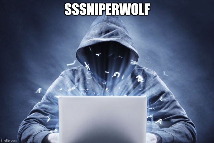 Hacker | SSSNIPERWOLF | image tagged in hacker | made w/ Imgflip meme maker