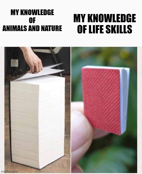 Pround nature lover | MY KNOWLEDGE OF LIFE SKILLS; MY KNOWLEDGE OF ANIMALS AND NATURE | image tagged in my knowledge of,memes | made w/ Imgflip meme maker