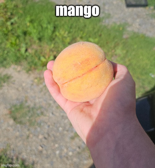 mango | made w/ Imgflip meme maker