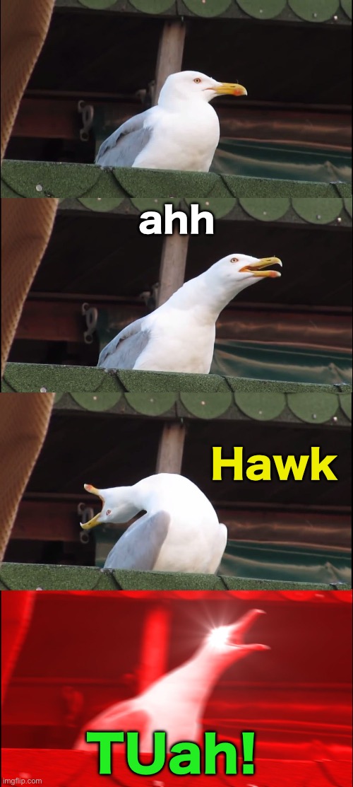 Already been done 100 times? | ahh; Hawk; TUah! | image tagged in memes,inhaling seagull | made w/ Imgflip meme maker