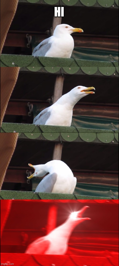 Inhaling Seagull | HI | image tagged in memes,inhaling seagull | made w/ Imgflip meme maker