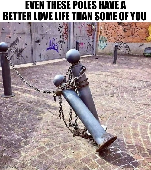 Even These Poles Have A Better Love Life Than Some Of You | EVEN THESE POLES HAVE A BETTER LOVE LIFE THAN SOME OF YOU | image tagged in chrisjoines1 | made w/ Imgflip meme maker