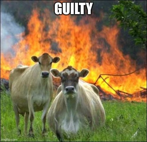 Evil Cows Meme | GUILTY | image tagged in memes,evil cows | made w/ Imgflip meme maker