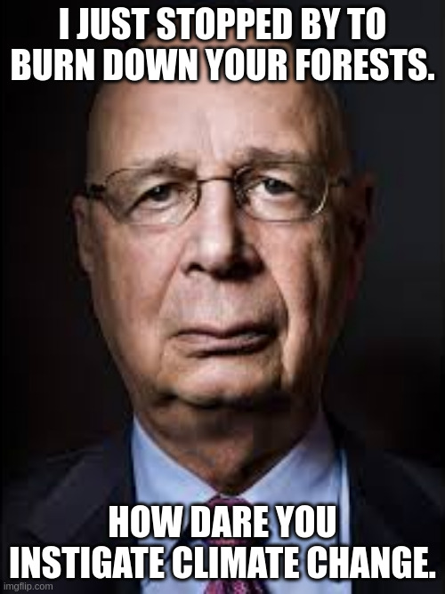 World Economic Forum | I JUST STOPPED BY TO BURN DOWN YOUR FORESTS. HOW DARE YOU INSTIGATE CLIMATE CHANGE. | made w/ Imgflip meme maker