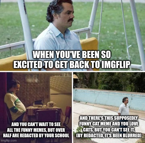 I feel like, "WHAT?!?!?!?!?!?!?!?!?!?!!!!!!!!!" | WHEN YOU'VE BEEN SO EXCITED TO GET BACK TO IMGFLIP; AND YOU CAN'T WAIT TO SEE ALL THE FUNNY MEMES, BUT OVER HALF ARE REDACTED BY YOUR SCHOOL; AND THERE'S THIS SUPPOSEDLY FUNNY CAT MEME AND YOU LOVE CATS, BUT YOU CAN'T SEE IT. (BY REDACTED, IT'S BEEN BLURRED) | image tagged in memes,sad pablo escobar | made w/ Imgflip meme maker