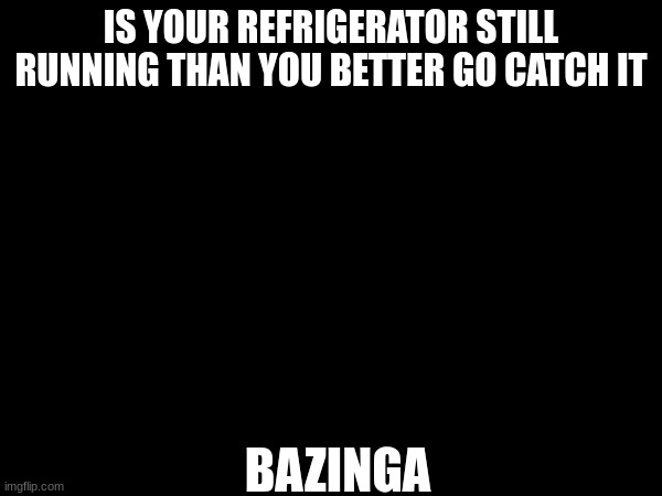 bazinga | IS YOUR REFRIGERATOR STILL RUNNING THAN YOU BETTER GO CATCH IT; BAZINGA | image tagged in fridge | made w/ Imgflip meme maker