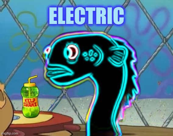 Shockingly, I'm Electric | ELECTRIC | image tagged in sadly i am only an eel,electric,electricity,bad joke eel,power,you underestimate my power | made w/ Imgflip meme maker
