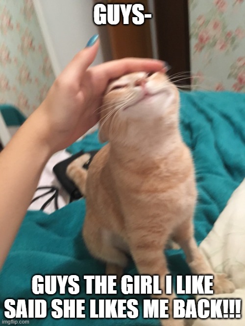 WOOOOOOOOOOOOOO | GUYS-; GUYS THE GIRL I LIKE SAID SHE LIKES ME BACK!!! | image tagged in cat pat | made w/ Imgflip meme maker