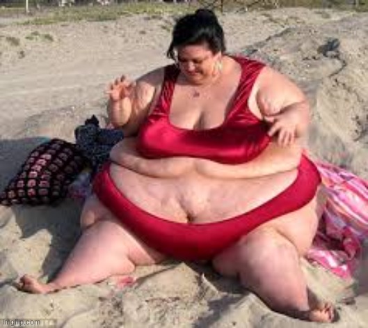 Fat lady | image tagged in fat lady | made w/ Imgflip meme maker