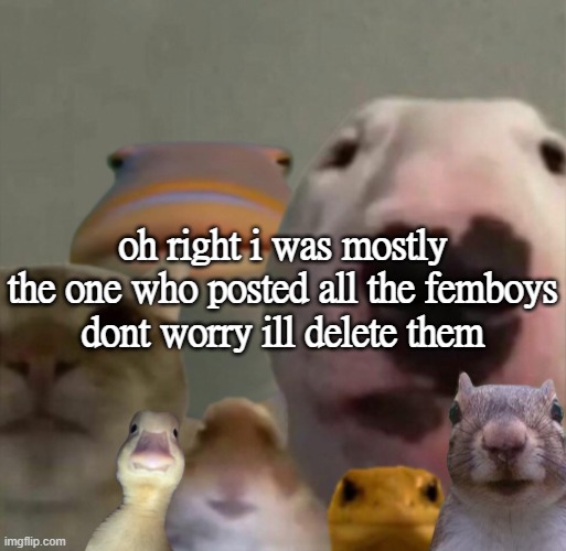 The council remastered | oh right i was mostly the one who posted all the femboys
dont worry ill delete them | image tagged in the council remastered | made w/ Imgflip meme maker