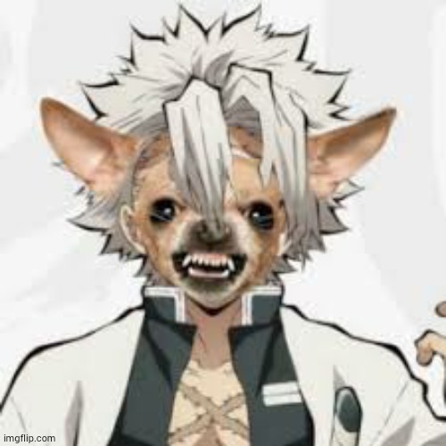 image tagged in anime,demon slayer,kimetsu no yaiba,kny | made w/ Imgflip meme maker
