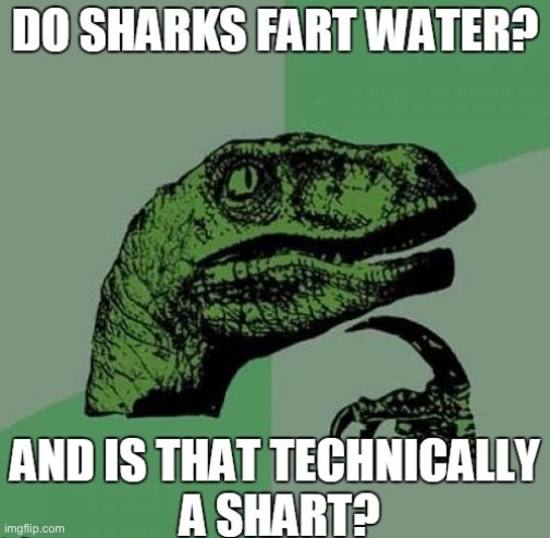 Shark Shart | image tagged in sharks,shart,philosoraptor,potty humor,bathroom humor,funny memes | made w/ Imgflip meme maker