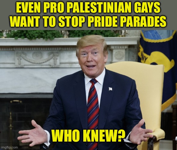 Who Knew? | EVEN PRO PALESTINIAN GAYS WANT TO STOP PRIDE PARADES WHO KNEW? | image tagged in who knew | made w/ Imgflip meme maker