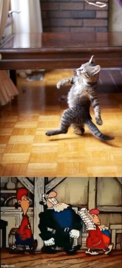 Same energy | image tagged in memes,cool cat stroll,dr livesy walking | made w/ Imgflip meme maker
