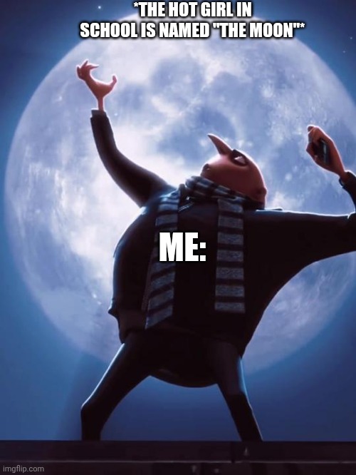 Tonight we steal the moon | *THE HOT GIRL IN SCHOOL IS NAMED "THE MOON"*; ME: | image tagged in tonight we steal the moon | made w/ Imgflip meme maker