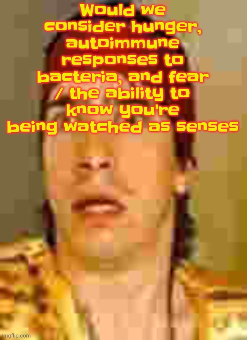 Cuz imo we have WAY MORE than 5 senses | Would we consider hunger, autoimmune responses to bacteria, and fear / the ability to know you're being watched as senses | image tagged in when the | made w/ Imgflip meme maker