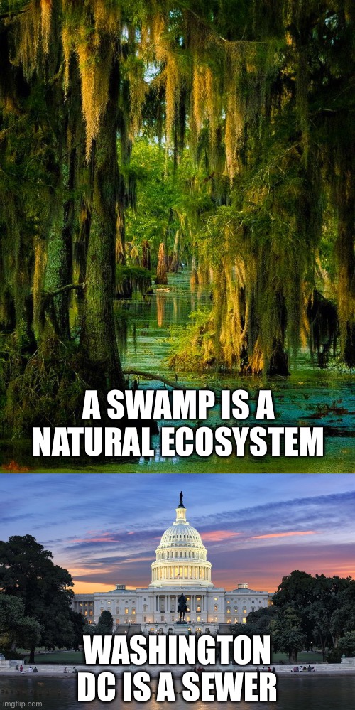 A SWAMP IS A NATURAL ECOSYSTEM; WASHINGTON DC IS A SEWER | image tagged in washington dc swamp | made w/ Imgflip meme maker