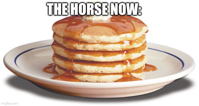 Stack of Pancakes | THE HORSE NOW: | image tagged in stack of pancakes | made w/ Imgflip meme maker