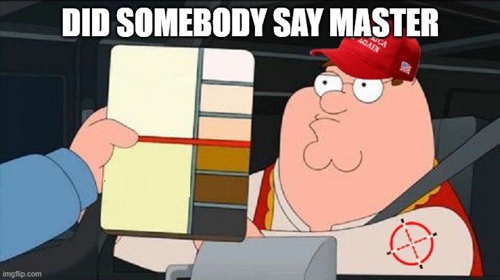 MAGA Racist Blank | DID SOMEBODY SAY MASTER | image tagged in maga racist blank | made w/ Imgflip meme maker