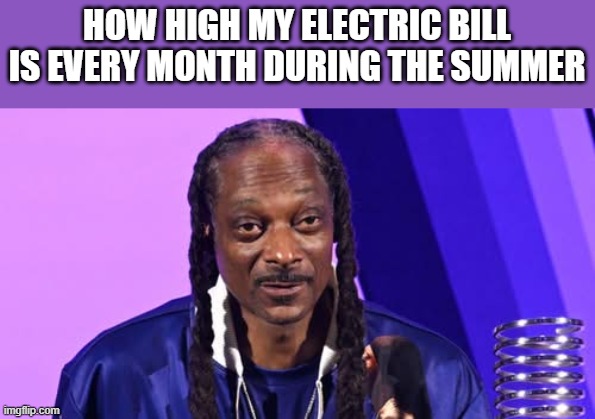 My Electric Bill During Summer | HOW HIGH MY ELECTRIC BILL IS EVERY MONTH DURING THE SUMMER | image tagged in electric bill,summer,high,snoop dogg,funny,memes | made w/ Imgflip meme maker