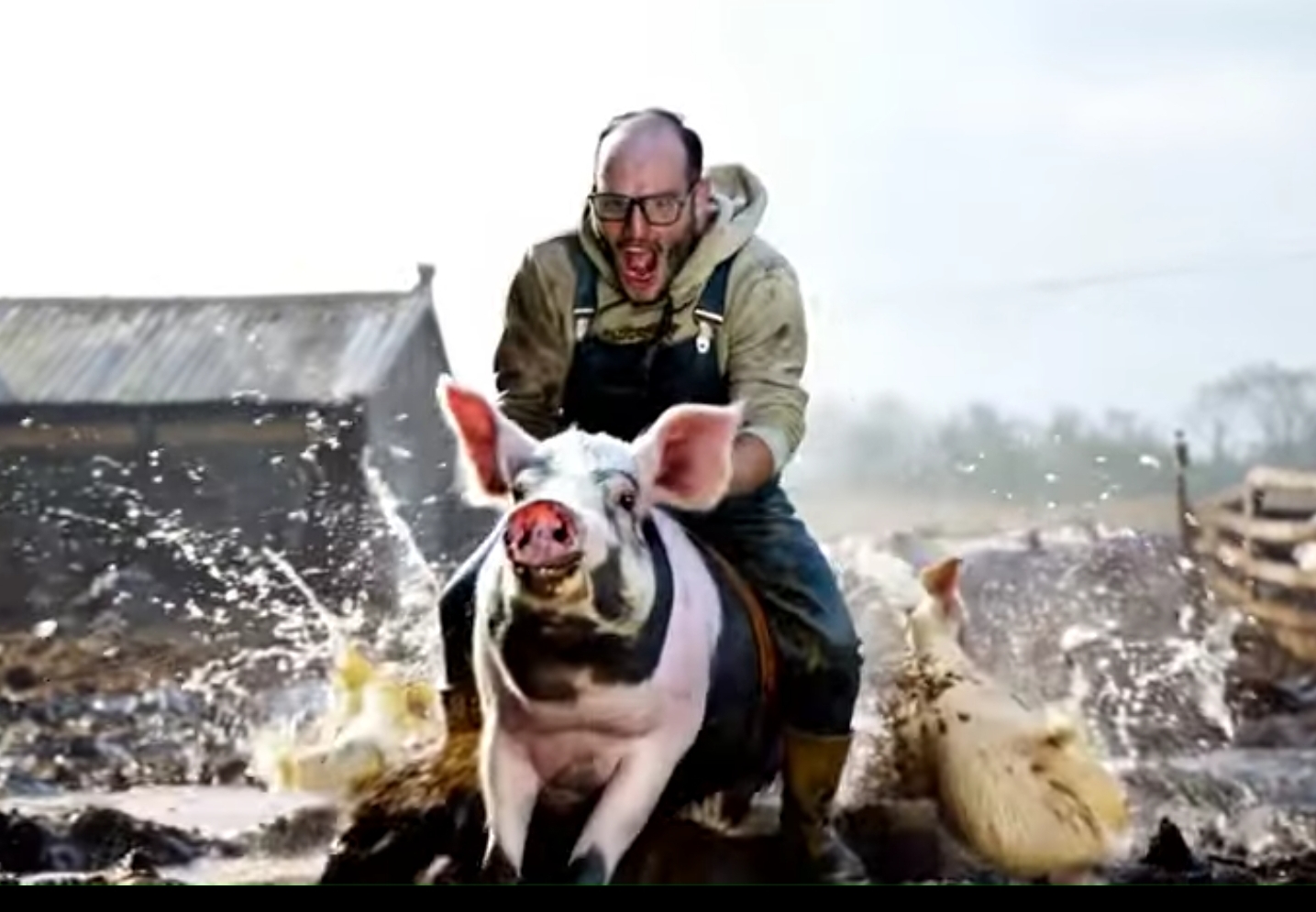 Pig rider Blank Meme Template