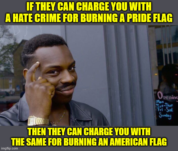 Roll Safe Think About It Meme | IF THEY CAN CHARGE YOU WITH A HATE CRIME FOR BURNING A PRIDE FLAG THEN THEY CAN CHARGE YOU WITH THE SAME FOR BURNING AN AMERICAN FLAG | image tagged in memes,roll safe think about it | made w/ Imgflip meme maker
