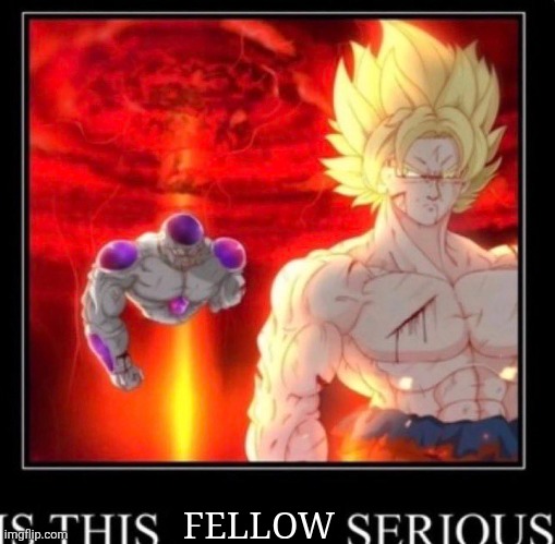 FELLOW | made w/ Imgflip meme maker