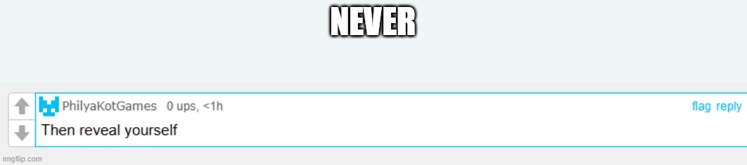 NEVER | made w/ Imgflip meme maker