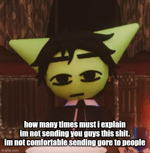 vrochacho what | how many times must i explain im not sending you guys this shit. im not comfortable sending gore to people | image tagged in vrochacho what | made w/ Imgflip meme maker