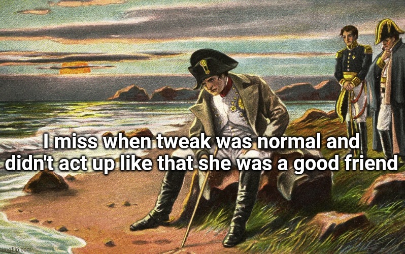 Napoleon | I miss when tweak was normal and didn't act up like that she was a good friend | image tagged in napoleon | made w/ Imgflip meme maker