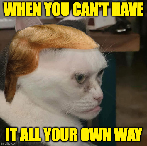 Sorry, Scar. | WHEN YOU CAN'T HAVE; IT ALL YOUR OWN WAY | image tagged in memes,trump | made w/ Imgflip meme maker