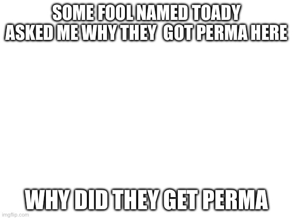 SOME FOOL NAMED TOADY ASKED ME WHY THEY  GOT PERMA HERE; WHY DID THEY GET PERMA | made w/ Imgflip meme maker