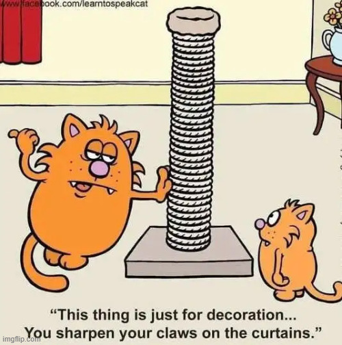 Sharpening | image tagged in repost,sharpening | made w/ Imgflip meme maker