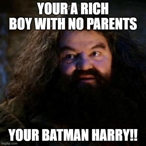 You're a wizard harry | YOUR A RICH BOY WITH NO PARENTS; YOUR BATMAN HARRY!! | image tagged in you're a wizard harry,harry potter,batman,funny,memes,fun | made w/ Imgflip meme maker
