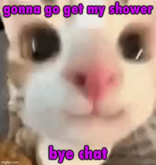 hai :3 | gonna go get my shower; bye chat | image tagged in hai 3 | made w/ Imgflip meme maker