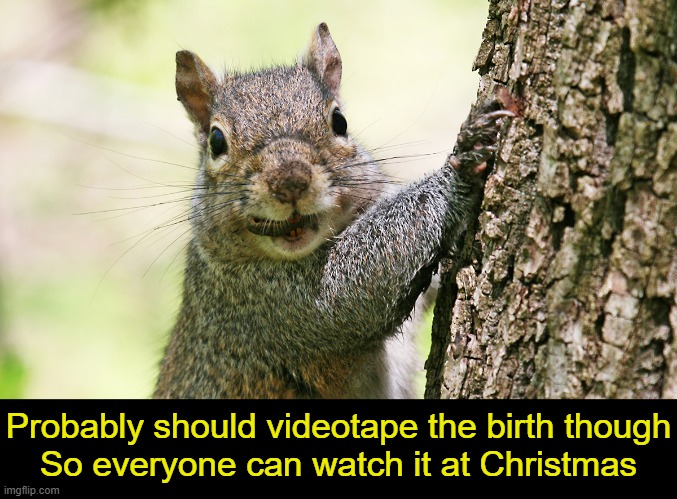 Probably should videotape the birth though
So everyone can watch it at Christmas | made w/ Imgflip meme maker