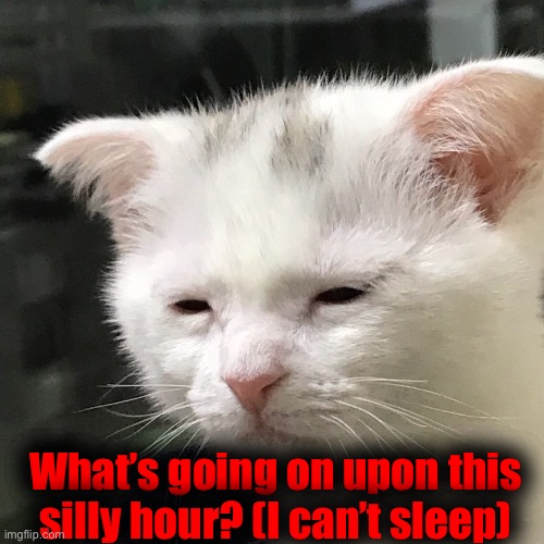 I'm awake, but at what cost? | What’s going on upon this silly hour? (I can’t sleep) | image tagged in i'm awake but at what cost | made w/ Imgflip meme maker