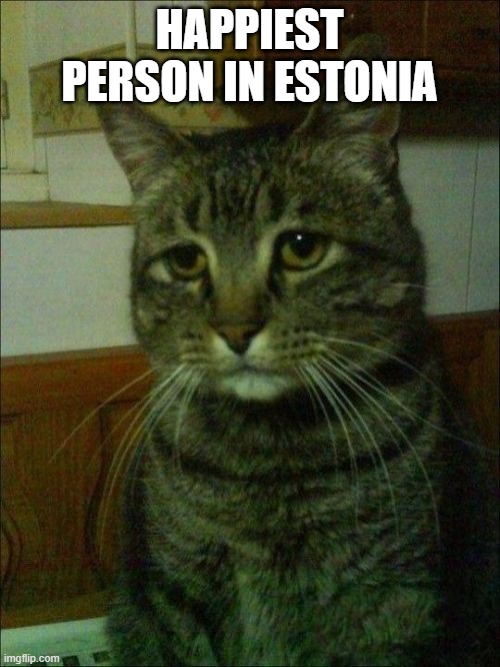 Depressed Cat Meme | HAPPIEST PERSON IN ESTONIA | image tagged in memes,depressed cat | made w/ Imgflip meme maker
