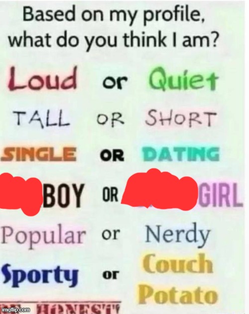 based on my profile what do you think I am? | image tagged in based on my profile what do you think i am | made w/ Imgflip meme maker