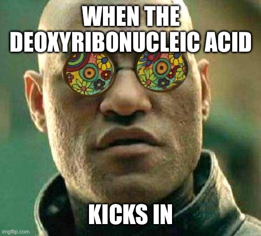 DNA | WHEN THE DEOXYRIBONUCLEIC ACID; KICKS IN | image tagged in acid kicks in morpheus,dna | made w/ Imgflip meme maker