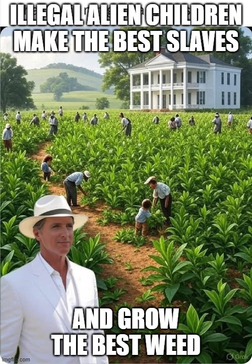 Gavin's Pot Farm | ILLEGAL ALIEN CHILDREN MAKE THE BEST SLAVES; AND GROW THE BEST WEED | image tagged in gavin's pot farm | made w/ Imgflip meme maker