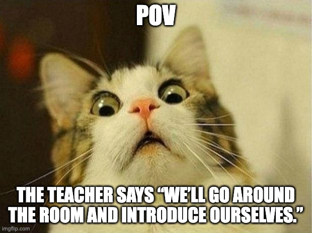 Scared Cat | POV; THE TEACHER SAYS “WE’LL GO AROUND THE ROOM AND INTRODUCE OURSELVES.” | image tagged in memes,scared cat | made w/ Imgflip meme maker