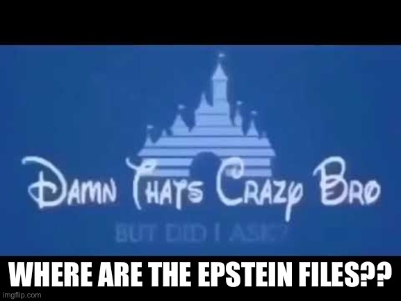 Damn that's crazy bro but did I ask? | WHERE ARE THE EPSTEIN FILES?? | image tagged in damn that's crazy bro but did i ask | made w/ Imgflip meme maker