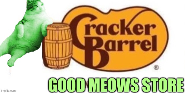 RayCat on a Barrel | GOOD MEOWS STORE | image tagged in memes,raycat | made w/ Imgflip meme maker
